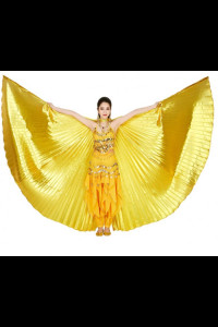 SW004 Budget Gold Showgirl Wings Cape